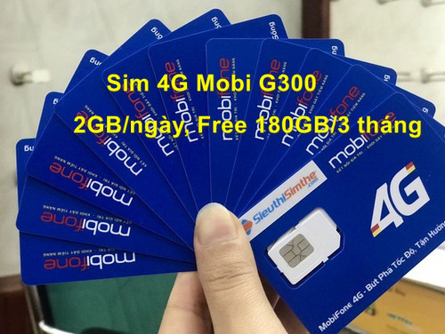 sim 4g mobi g300