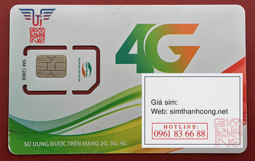 phoi sim