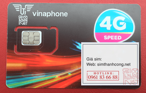 phoi sim