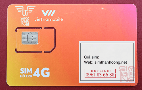 phoi sim