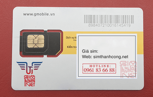 phoi sim